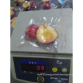 Natural Color Organic Frozen Plums Diced